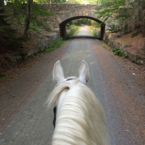 Fundraising Page: Salo- Horseback Riders or Hikers